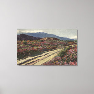 A Desert Road through Springtime Flower Fields Canvas Print