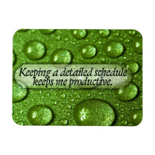 "A detailed schedule" Motivation Affirmation Flexi Magnet