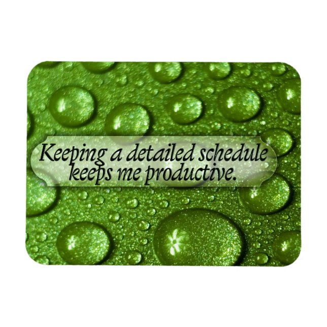 "A detailed schedule" Motivation Affirmation Flexi Magnet (Horizontal)