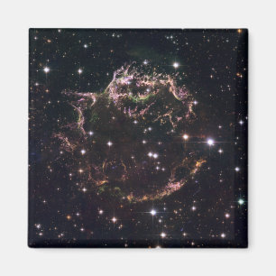 A detailed view at the tattered remains magnet