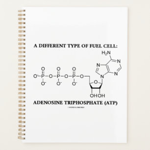 A Different Type Of Fuel Cell ATP Biochemistry Planner