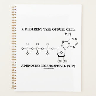 A Different Type Of Fuel Cell ATP Biochemistry Planner