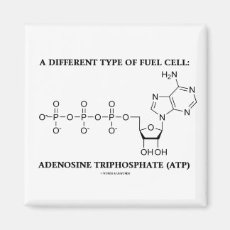 A Different Type Of Fuel Cell (ATP) Magnet