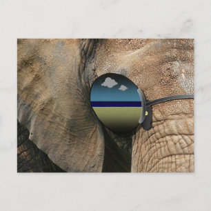 A Disconcerting Little Tune (TM) Postcard