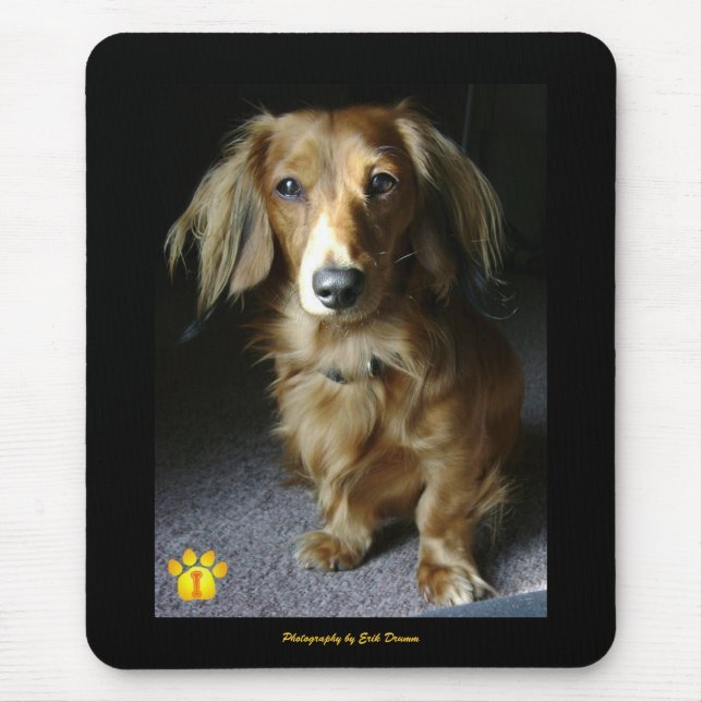 A Distinguished Dachshund Mousepad (Front)