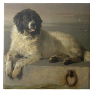 A Distinguished Member of the Humane Society Tile