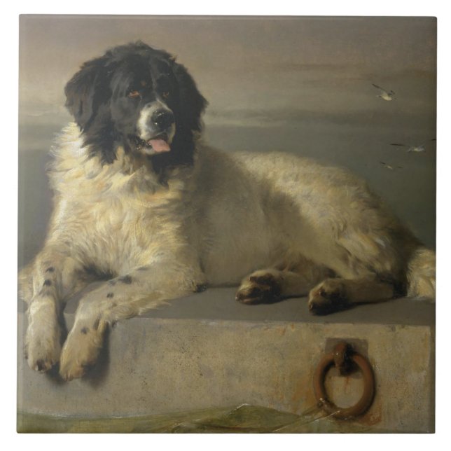 A Distinguished Member of the Humane Society Tile (Front)