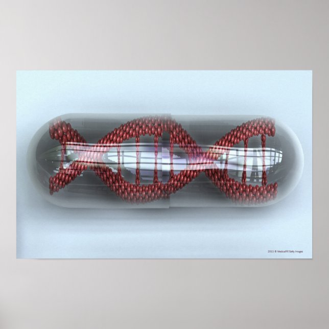 A DNA strand in a capsule Poster (Front)