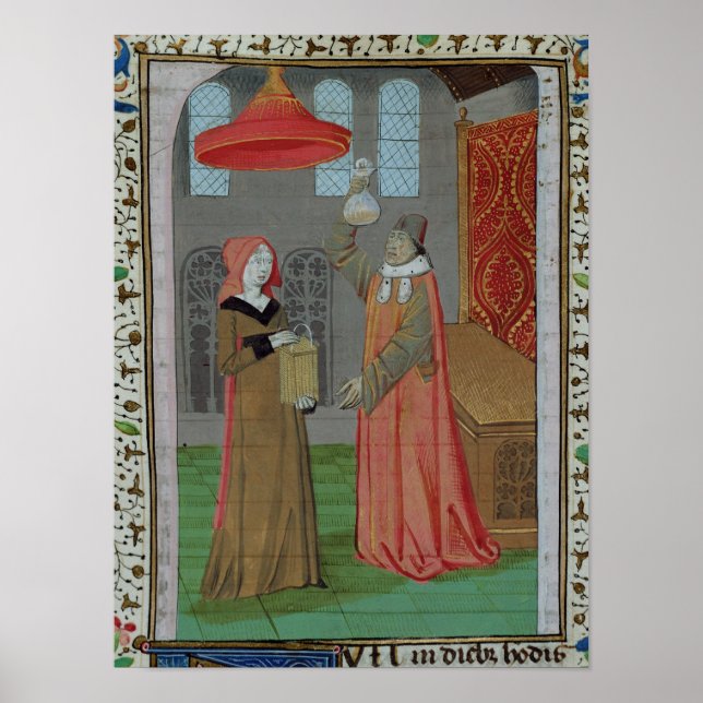 A doctor examining St. Elizabeth's urine Poster (Front)