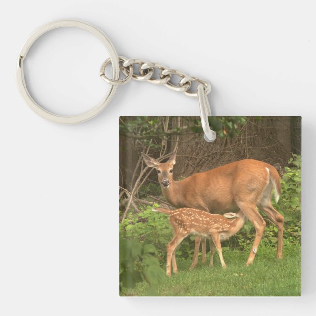 A doe and her fawn  key ring (Front)