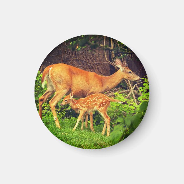 A doe and her fawn magnet (Front)