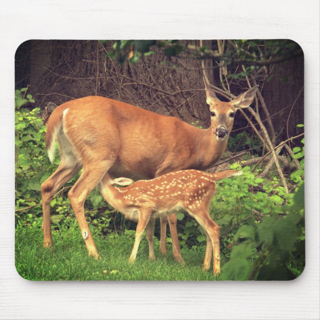 A doe and her fawn  mouse mat (Front)