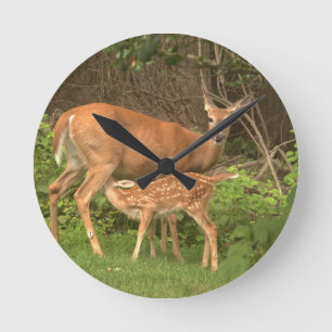 A doe and her fawn  round clock