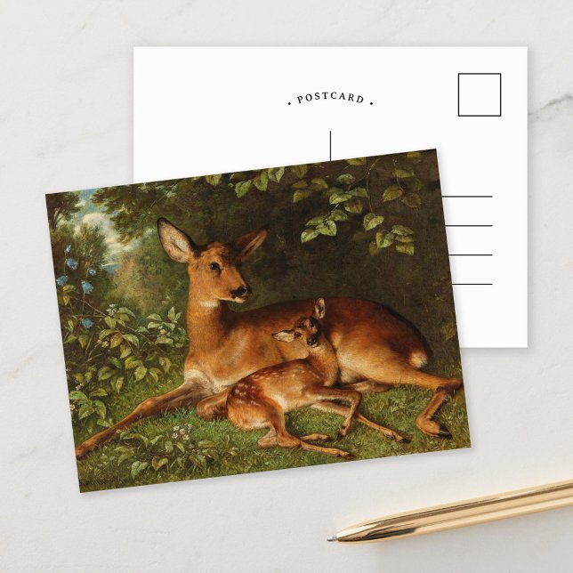 A Doe with Fawn | Carl Schweninger, Jr. Postcard (Creator Uploaded)