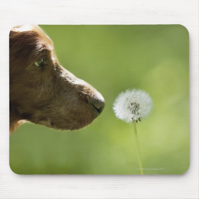 A dog and a dandelion. mouse mat (Front)