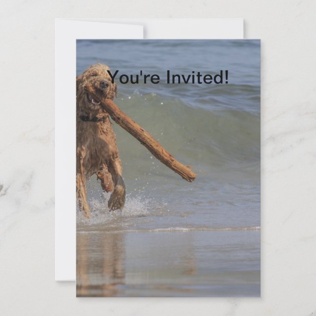 A Dog Day Afternoon Invitation (Front)