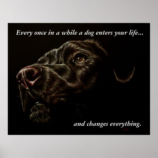 A Dog Enters Your Life - Black Dog Poster (Front)