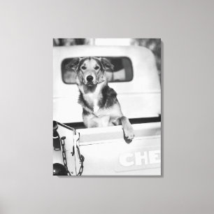 A dog in a car. canvas print
