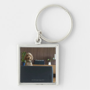 A dog in the riving room key ring