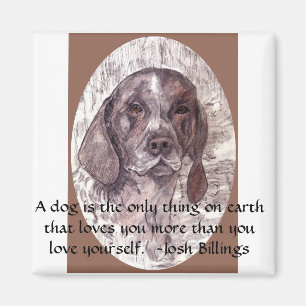 A Dog Is Magnet 2