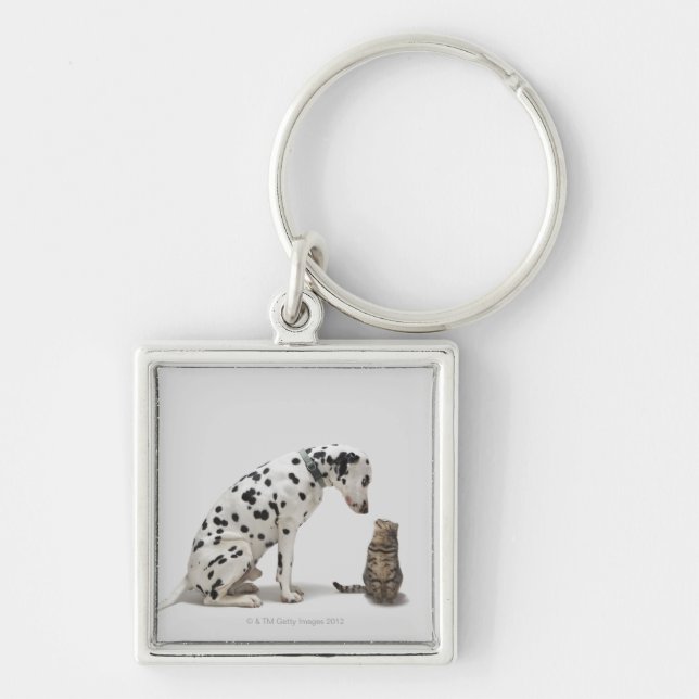 A dog looking at a cat key ring (Front)