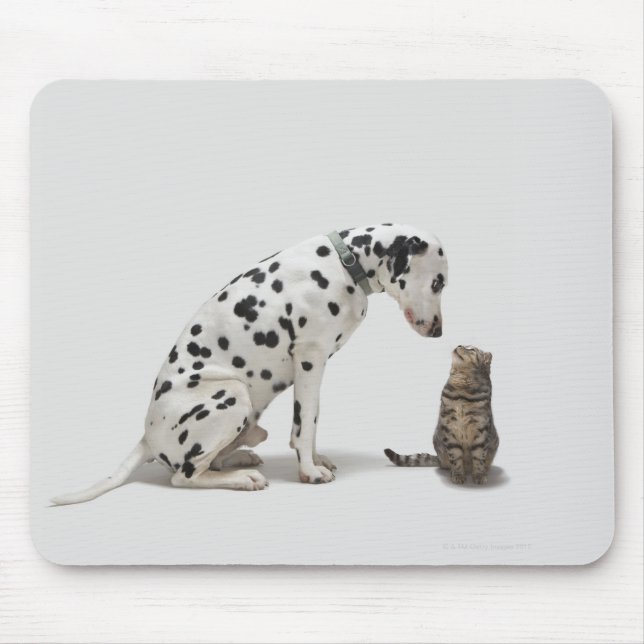 A dog looking at a cat mouse mat (Front)