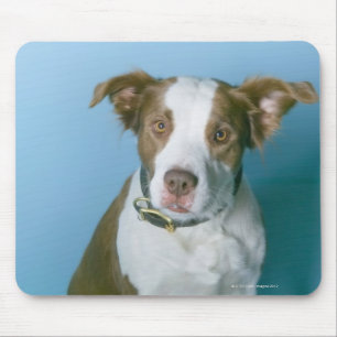 A dog mouse mat