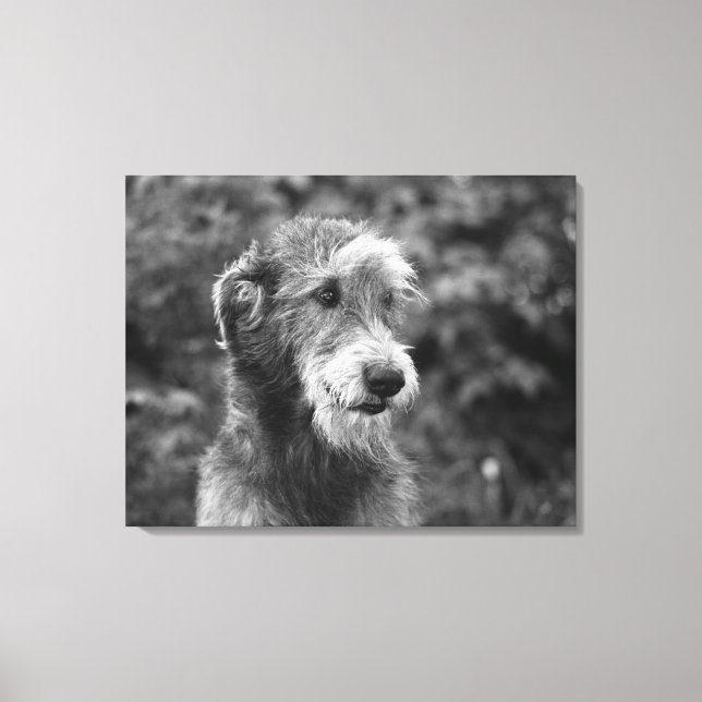 A dog outside. canvas print (Front)