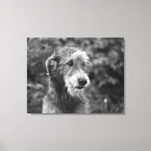 A dog outside. canvas print