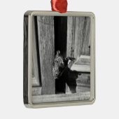 A dog peeking out from a door, close-up. metal tree decoration (Right)