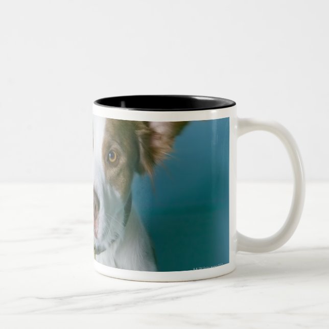 A dog Two-Tone coffee mug (Right)
