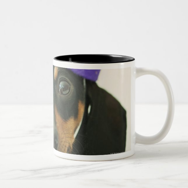 A dog wearing a funny hat Two-Tone coffee mug (Right)