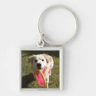 A dog with a frisbee key ring