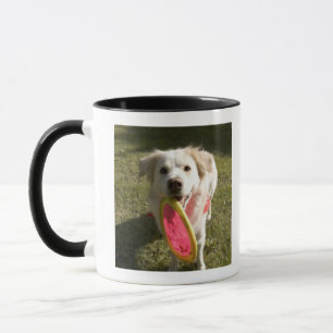 A dog with a frisbee mug