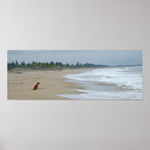 A Dogs Life Poster