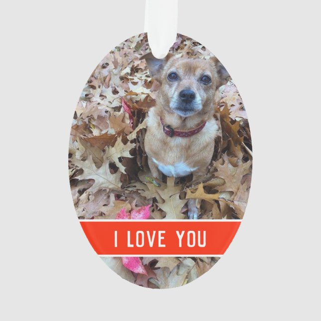 a dogs love ornament (Back)