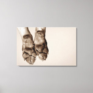 A dogs paws canvas print