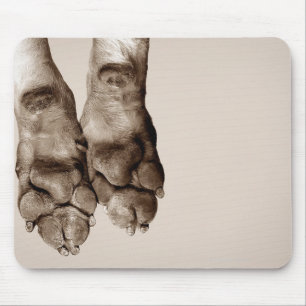 A dogs paws mouse mat