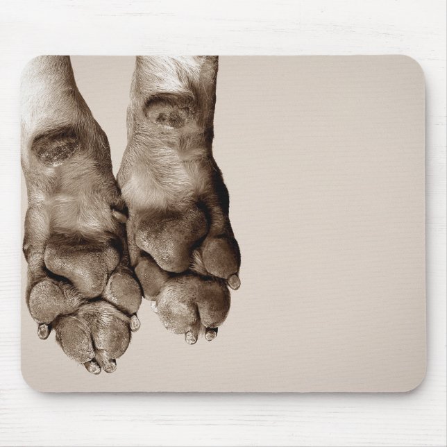 A dogs paws mouse mat (Front)