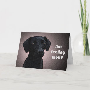 A Dog's Remedy Get Well Card