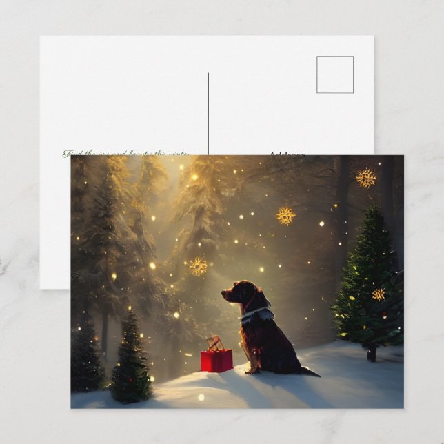 A Dog's Winter Light Greeting Christmas Card (Front/Back)