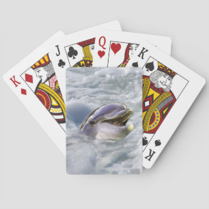 A dolphins best smile playing cards