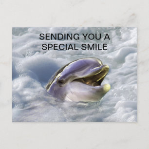 A dolphins best smile postcard