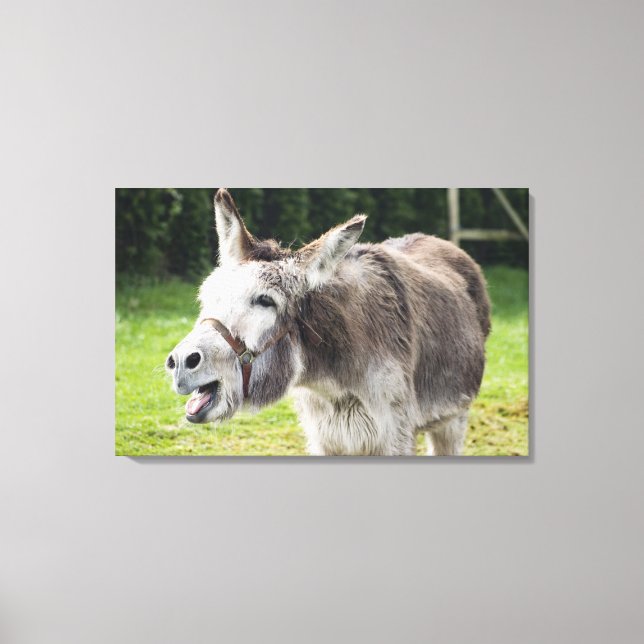 A donkey canvas print (Front)