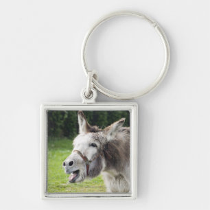 A donkey key ring