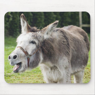 A donkey mouse mat