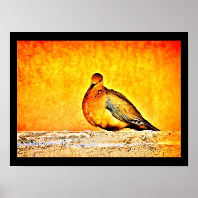 A Dove Princess Poster (Front)