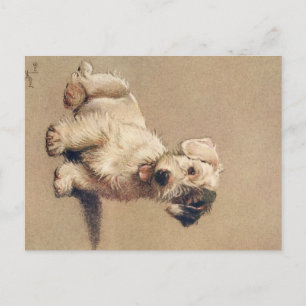 A Dozen Dogs or So Cecil Aldin Postcard