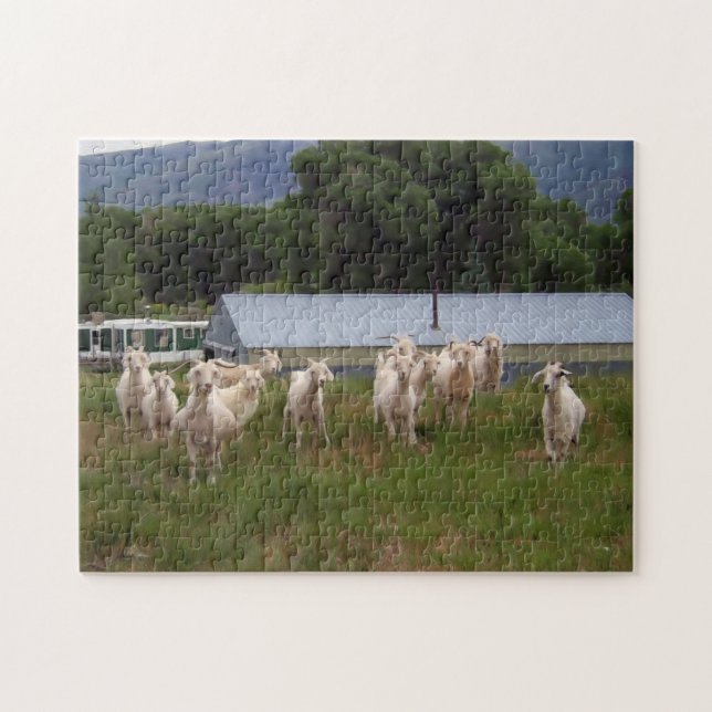 A Dozen Kids at Pasture v2 Jigsaw Puzzle (Horizontal)