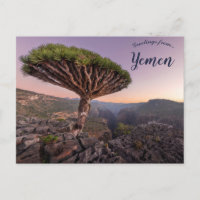 A Dragon Blood Tree in Socotra Yemen